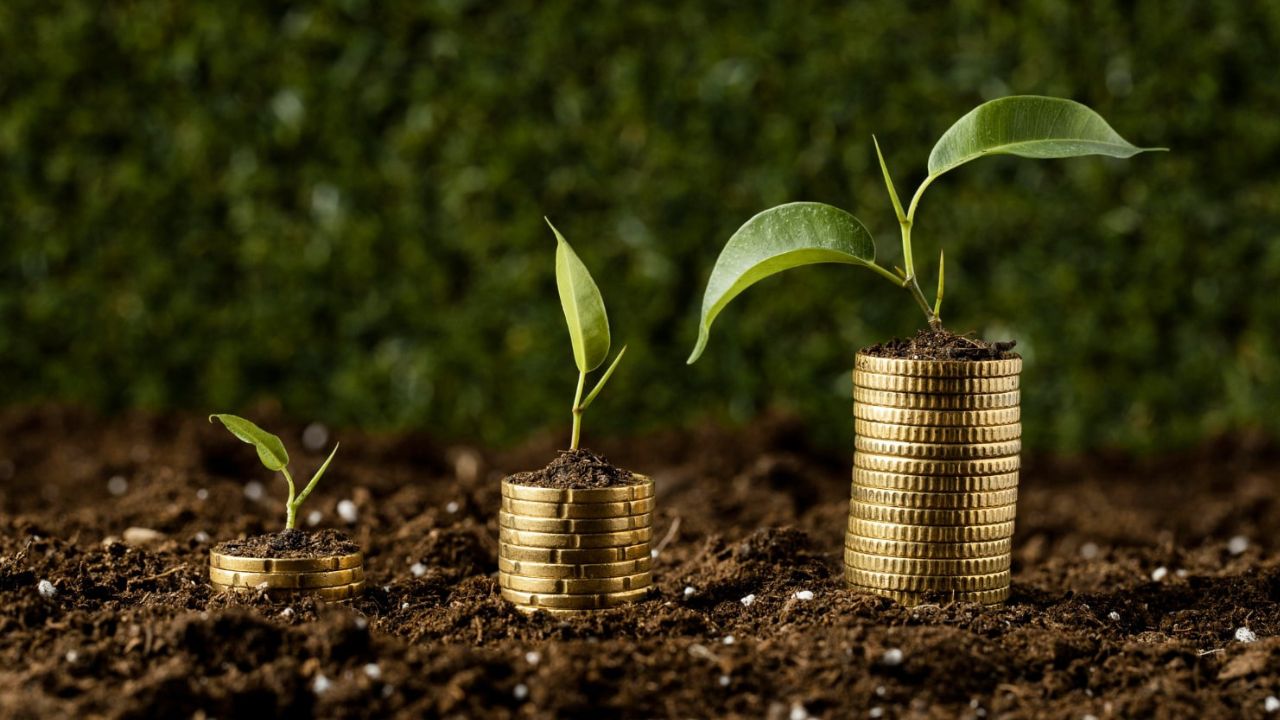 Rentabilité ou cashflow