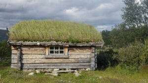 Construction sauvage