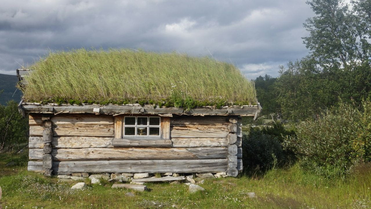 Construction sauvage