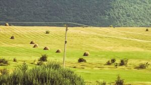 Terrain d’agrément